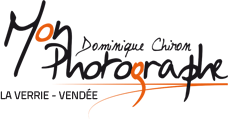 Mon Photographe - Chiron Dominique